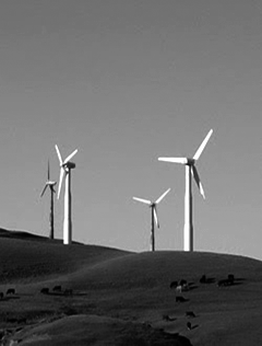 Solar Windmills on Hill